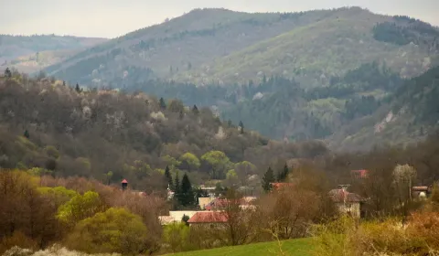 Prodej Zemědělské a lesní, Detva, Slovensko