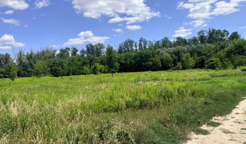 Prodej Zemědělské a lesní, Zemědělské a lesní, Senec, Slovensko
