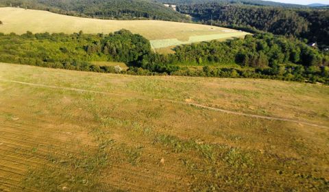 Prodej Zemědělské a lesní, Zemědělské a lesní, Piešťany, Slovensko