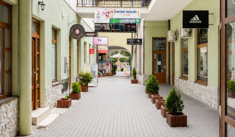 Pronájem Prostory pro obchod, Prostory pro obchod, Topoľčany, Slovensk