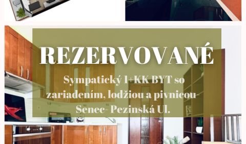 Prodej Byt 1+1, Byt 1+1, Pezinská, Senec, Slovensko