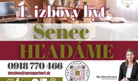 Hledáme Byt 1+1, Byt 1+1, Senec, Slovensko