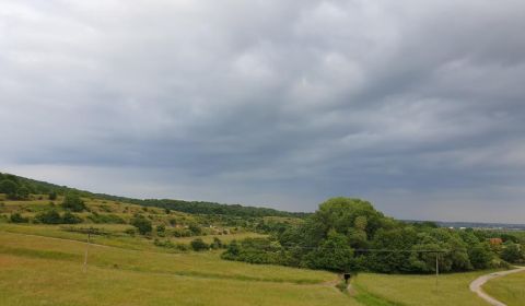 Prodej Zemědělské a lesní, Zemědělské a lesní, Pezinok, Slovensko