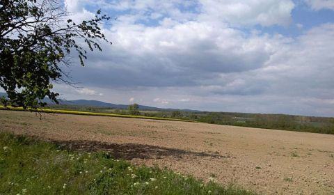 Hledáme Pozemky - komerční, Pozemky - komerční, Pezinok, Slovensko