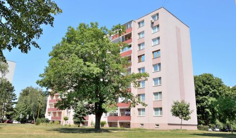 Prodej Byt 3+1, Byt 3+1, Martina Rázusa, Michalovce, Slovensko