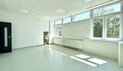 Pronájem Prostory pro obchod, Prostory pro obchod, Krušovská, Topoľčan