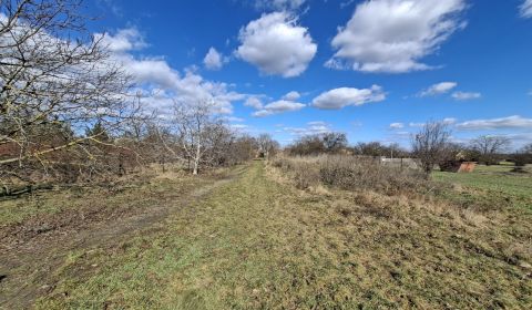 Prodej Pozemky - bydlení, Pozemky - bydlení, Športová, Senec, Slovensk