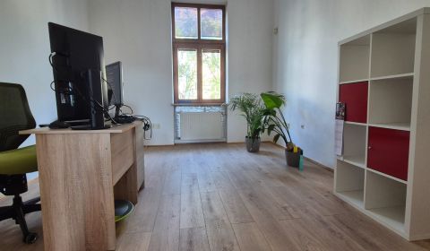 Pronájem Kancelářské prostory, Kancelářské prostory, Národná, Žilina, 