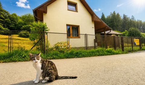 Prodej Rodinný dům, Rodinný dům, Čierne, Čadca, Slovensko