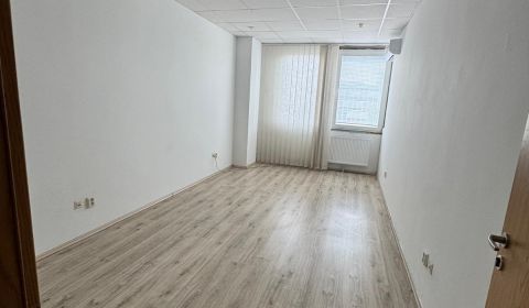 Pronájem Kancelářské prostory, Kancelářské prostory, Tomášikova, Brati