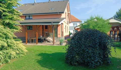 Pronájem Rodinný dům, Rodinný dům, Trnava, Slovensko