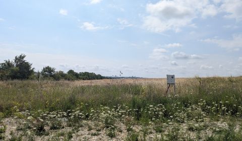Prodej Pozemky - bydlení, Pozemky - bydlení, Šípkova ulica, Nitra, Slo