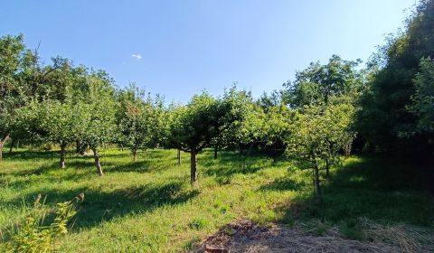 Prodej Pozemky - bydlení, Pozemky - bydlení, Nitra, Slovensko
