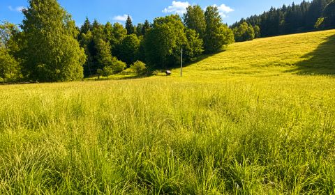 Prodej Pozemky - bydlení, Pozemky - bydlení, Kopanice, Čadca, Slovensk