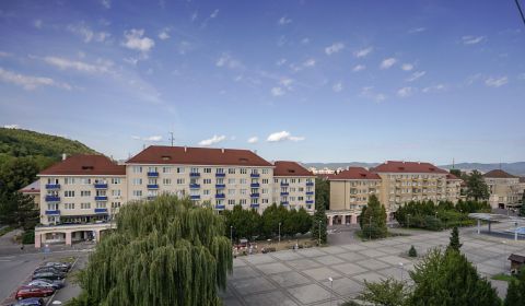 Prodej Byt 2+1, Byt 2+1, Sad kpt. Nálepku, Ilava, Slovensko