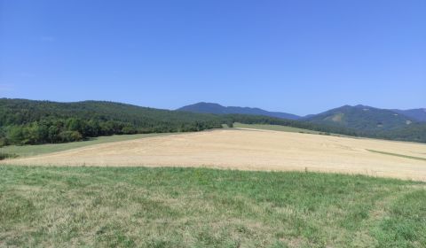 Prodej Pozemky - rekreace, Pozemky - rekreace, Martin, Slovensko