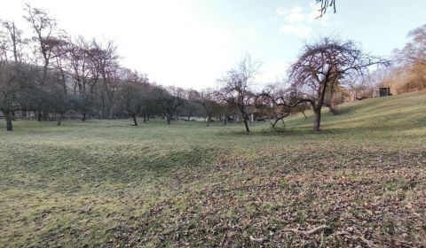 Prodej Pozemky - bydlení, Pozemky - bydlení, A.H. Škultétyho, Veľký Kr