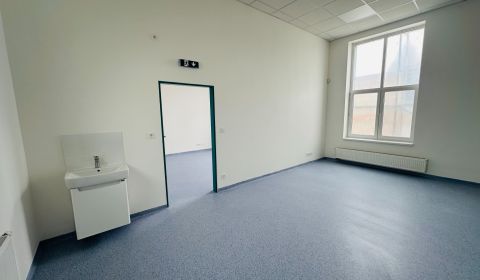 Pronájem Kancelářské prostory, Kancelářské prostory, kap.Nálepku, Preš