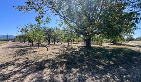 Prodej Pozemky - bydlení, Pozemky - bydlení, Dulov, Ilava, Slovensko