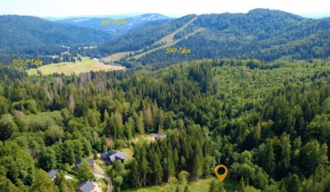 Prodej Pozemky - bydlení, Pozemky - bydlení, Tále, Brezno, Slovensko
