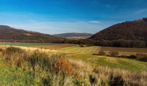 Prodej Zemědělské a lesní, Humenné, Slovensko