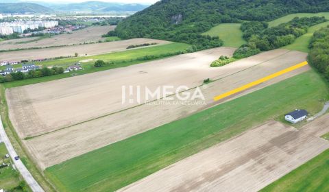 Prodej Zemědělské a lesní, Zemědělské a lesní, Dlhá, Humenné, Slovensk