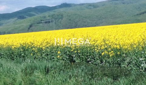 Prodej Zemědělské a lesní, Zemědělské a lesní, Kamenica, Humenné, Slov
