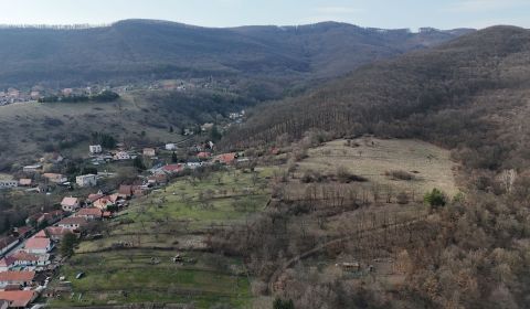 Prodej Pozemky - bydlení, Pozemky - bydlení, Žarnovica, Slovensko