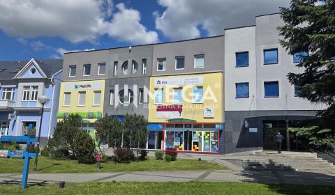 Pronájem Prostory pro obchod, Prostory pro obchod, Nám. slobody, Humen