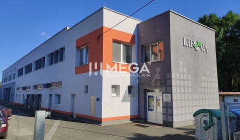 Pronájem Kancelářské prostory, Kancelářské prostory, Lipová, Humenné, 