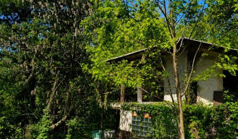 Prodej Zahrady, Zahrady, Šípková, Košice - Krásna, Slovensko