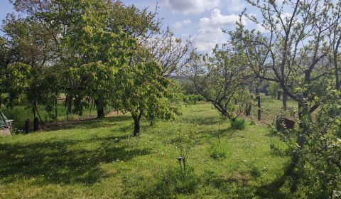 Prodej Pozemky - bydlení, Pozemky - bydlení, Kaluža, Michalovce, Slove