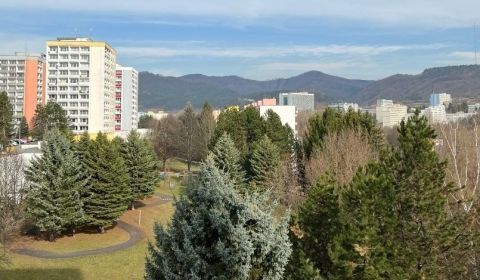Hledáme Byt 1+1, Byt 1+1, Trieda Hradca Králové, Banská Bystrica, Slov