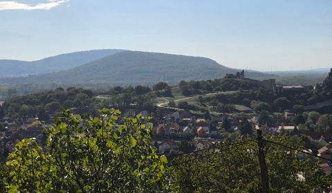 Prodej Pozemky - rekreace, Pozemky - rekreace, Spätná cesta, Bratislav