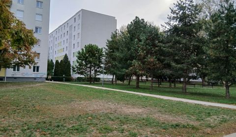 Prodej Byt 2+1, Byt 2+1, Narcisová, Bratislava - Ružinov, Slovensko