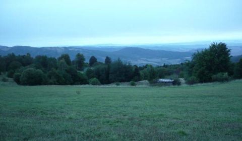 Prodej Zemědělské a lesní, Detva, Slovensko