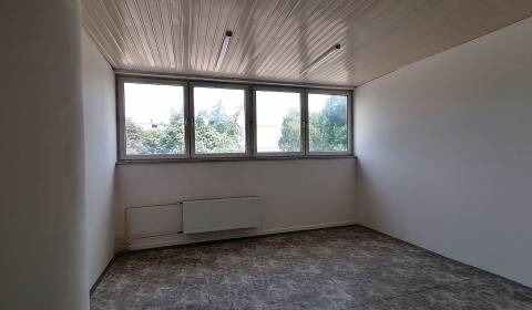 Pronájem Kancelářské prostory, Kancelářské prostory, Centrum, Martin, 