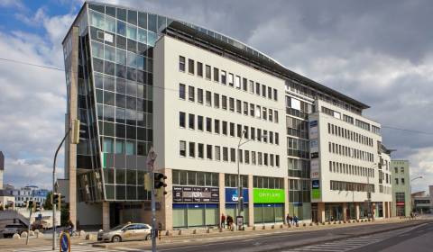 Kancelářské prostory, Suché mýto, pronájem, Bratislava - Staré Mesto,