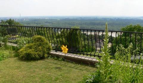 Rodinný dům, Radvanská, pronájem, Bratislava - Staré Mesto, Slovensko