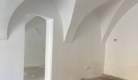 Prostory pro obchod, pronájem, Trnava, Slovensko