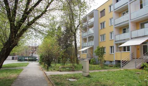 Byt 2+1, Mikovíniho, pronájem, Košice - Západ, Slovensko