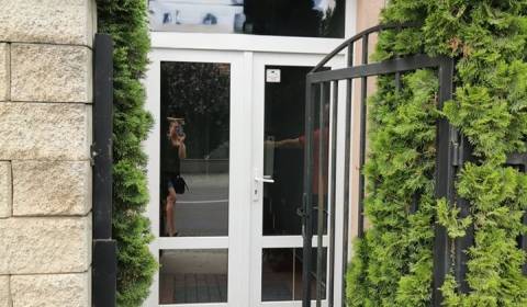 Pronájem Kancelářské prostory, Kancelářské prostory, Šamorínska, Senec