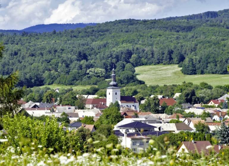 Malebná panoráma Lutile se zemědělskými a lesními pozemky a kostelem obklopeným zelenými lesy.