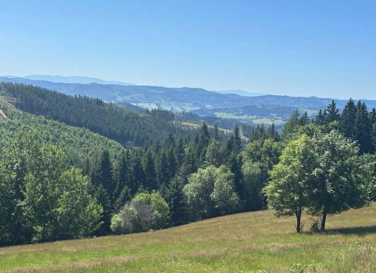 Krajina v Olešné s výhledem na lesy a kopce, vhodná pro Pozemky - bydlení.