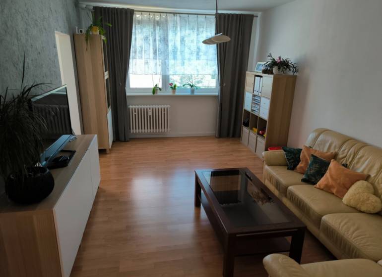 Obývací pokoj ve 4-pokojovém bytě s pohovkou, televizí a dřevěným nábytkem.