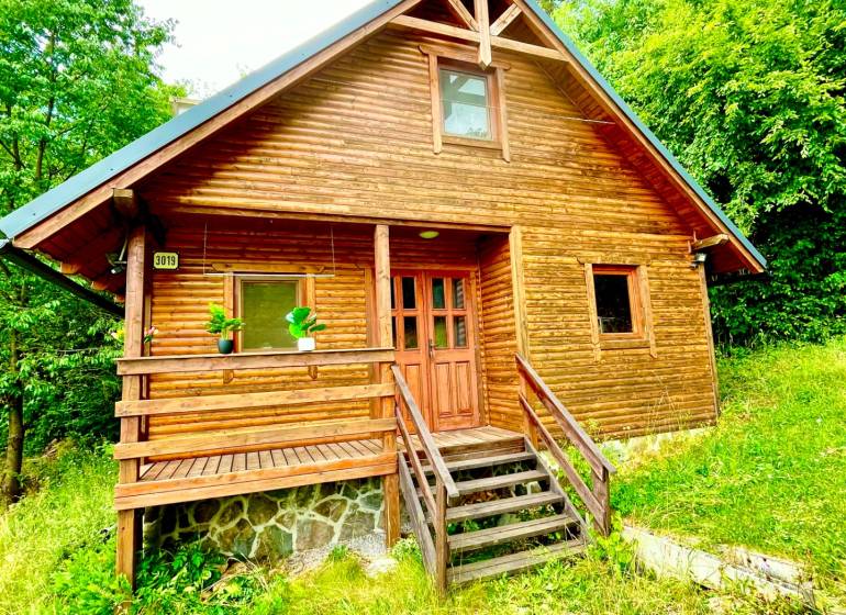 Dřevěný rodinný dům ve Štefultově, obklopený zelení, jednoduchý venkovský design.