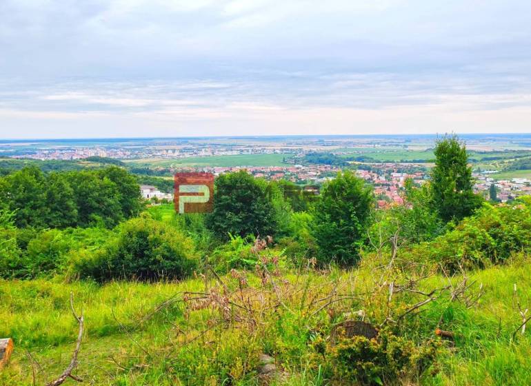 Krajina obklopující Limbach s výhledem na okolní oblasti, vhodná pro Pozemky - bydlení.