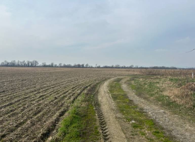Zemědělské a lesní pozemky v Zálesí na ulici Domky s polní cestou.