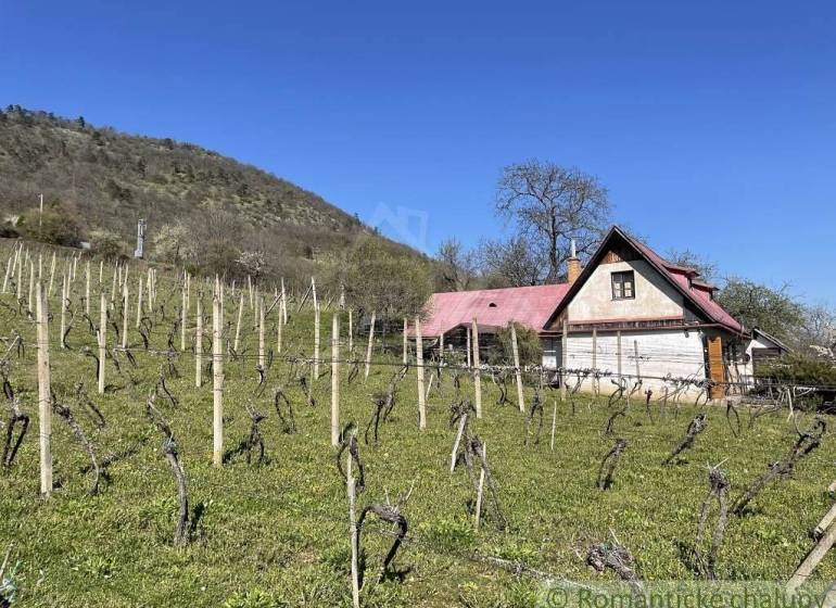 Chata s červenou střechou obklopená vinicí, kopce na obzoru. Zvláštní nemovitosti.