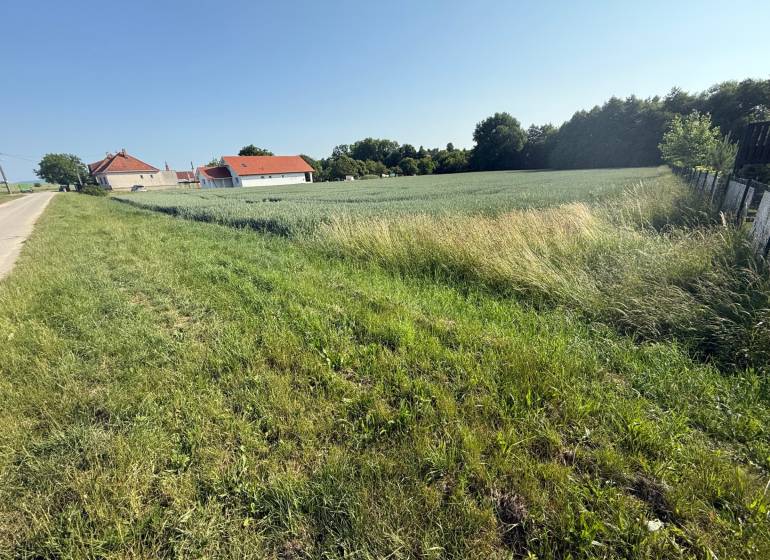 Travnaté pozemky na bydlení v Bojné; domy, pole a cesta vedle lesa.